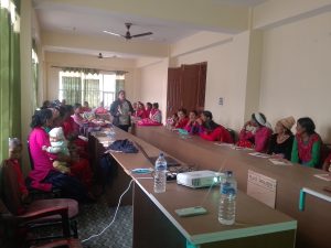 पूर्वीचौकी गाउँपालिकामा बाल पोषण अभिमुखीकरण कार्यक्रम सम्पन्न